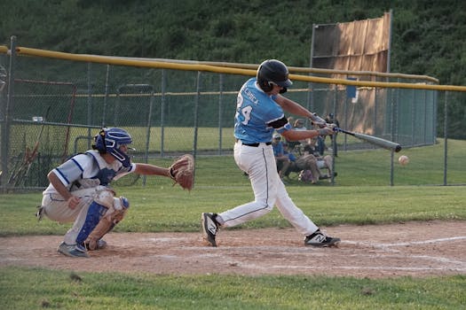 PowerNet Baseball Softball Net